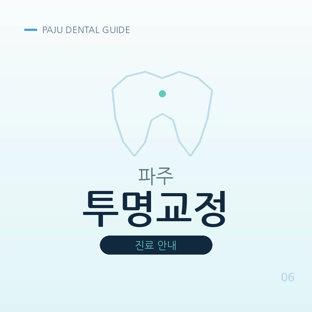 파주투명교정